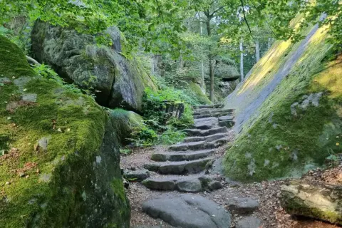 Moosbewachsene Felsen säumen einen steinernen Treppenweg, der zu einer Lilienstein Wanderung einlädt.
