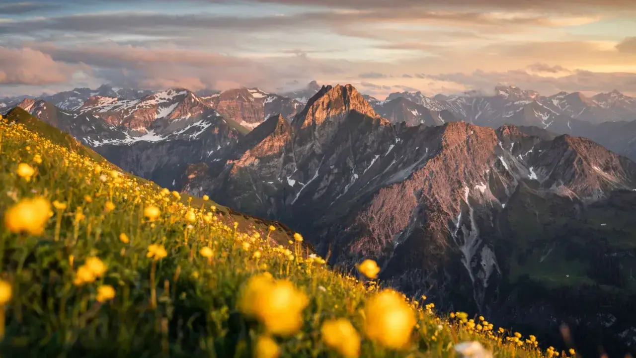 Blumenwiese am Laufbacher Eck im Abendlicht, mit schroffen Berggipfeln und Wolken.