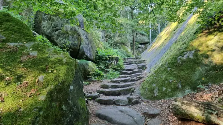 Moosbewachsene Felsen säumen einen steinernen Treppenweg, der zu einer Lilienstein Wanderung einlädt.